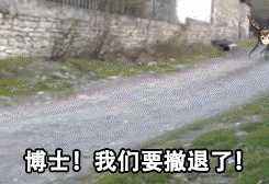 图片[3]-明日方舟阿米驴-萌图百科