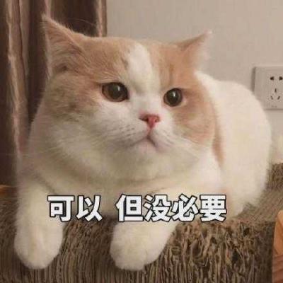 可以，但没必要是什么梗？-萌图百科