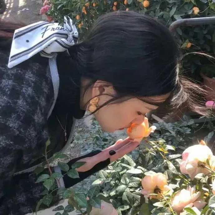 图片[5]-女生头像小清新 可爱-萌图百科