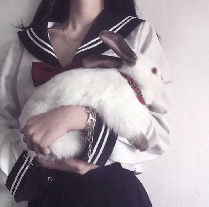 图片[12]-部位女生头像安利(24p)-萌图百科
