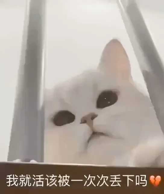 图片[5]-沙雕又可爱的朋友圈文案-萌图百科