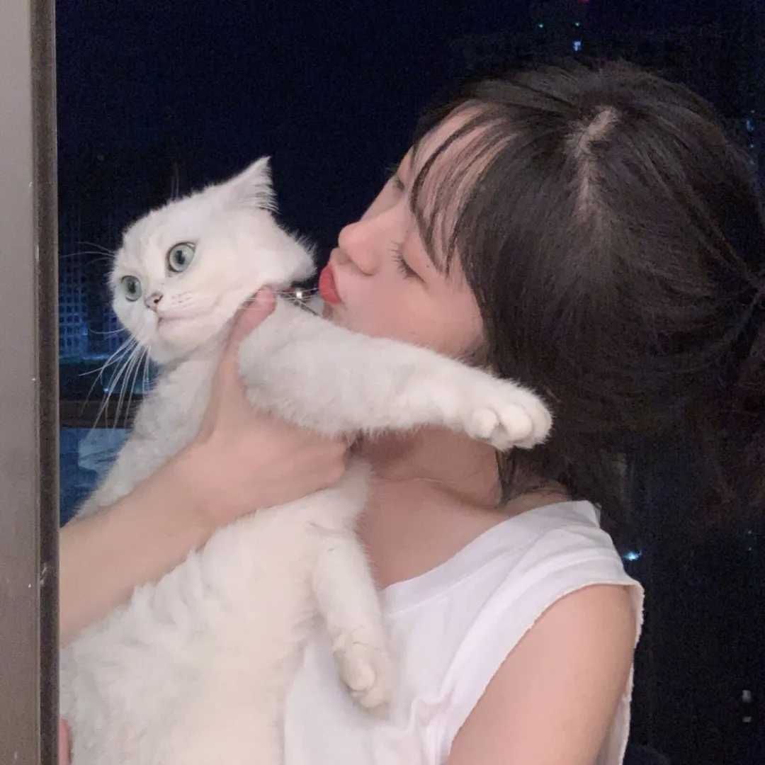 图片[12]-抱猫头像女-萌图百科