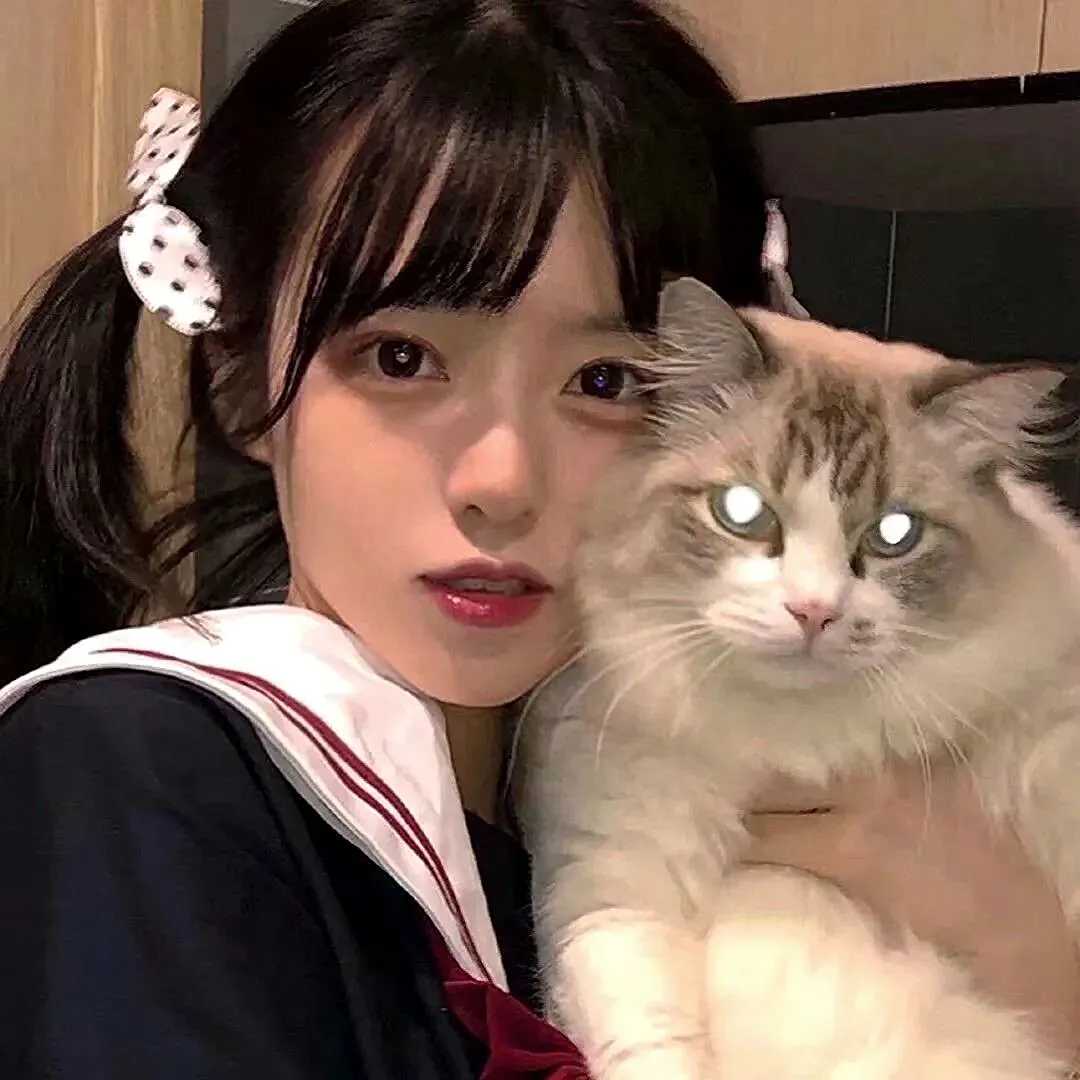 图片[5]-抱猫头像女-萌图百科