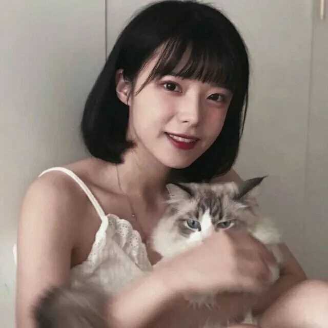 图片[2]-抱猫头像女-萌图百科