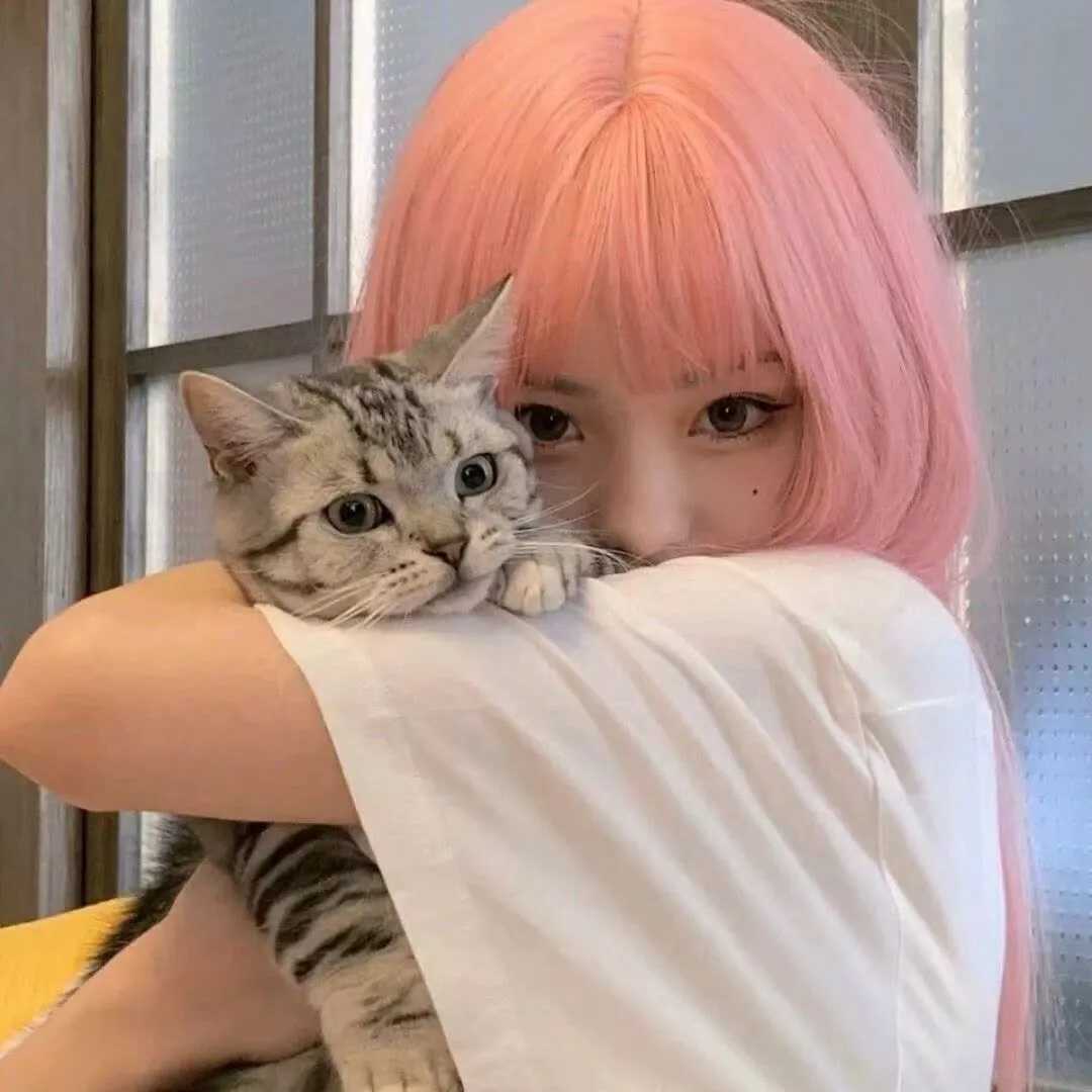 图片[7]-抱猫头像女-萌图百科