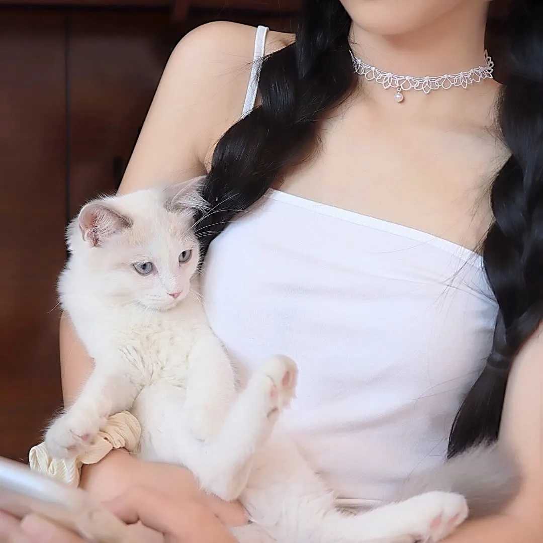 图片[9]-抱猫头像女-萌图百科