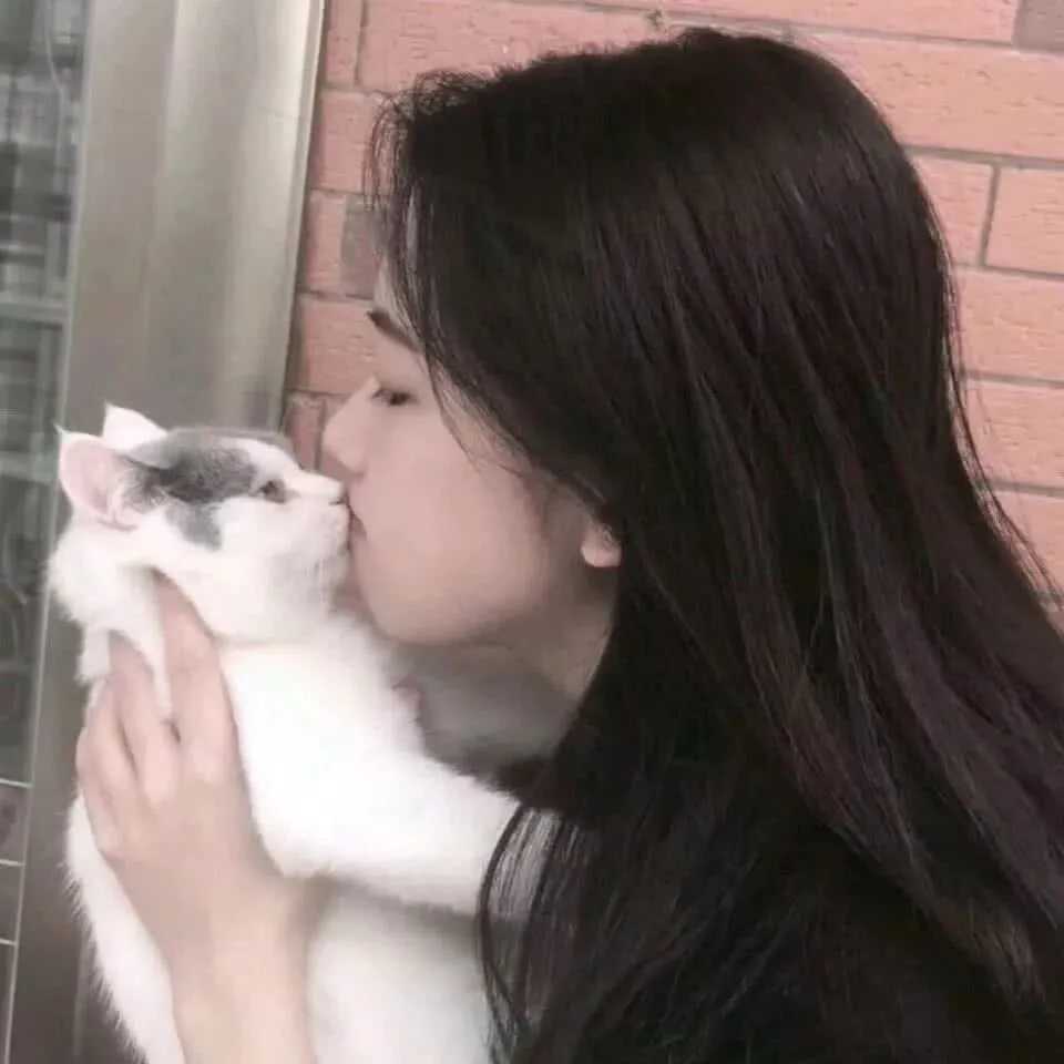 图片[4]-抱猫头像女-萌图百科