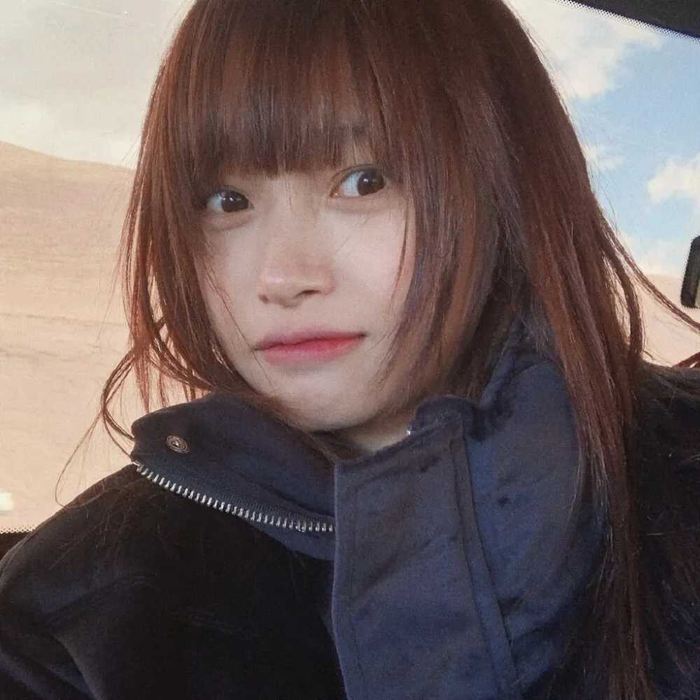 图片[4]-普通头像图片女生仙气-萌图百科