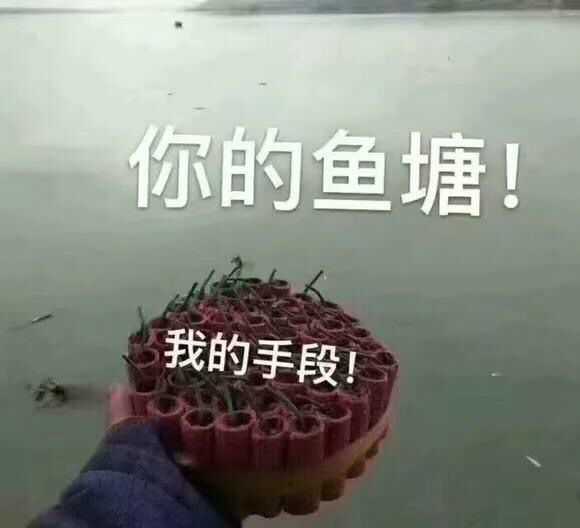 鱼卵局是什么梗？-萌图百科