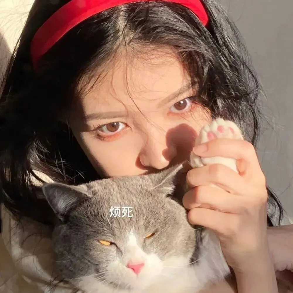 图片[9]-女生喜欢换微信头像-萌图百科