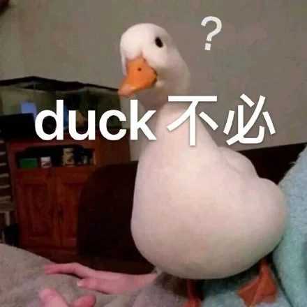 网络用语duck是什么意思？-萌图百科