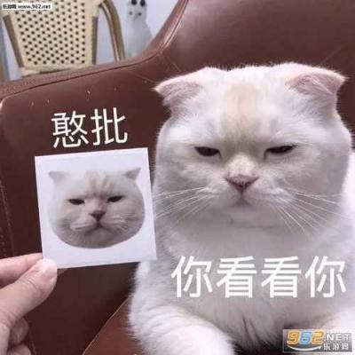 UCCU是什么梗？-萌图百科
