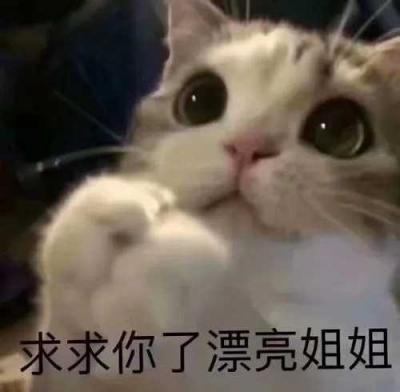 pljj是什么意思？-萌图百科