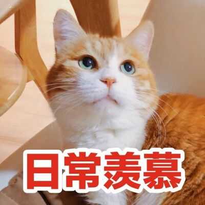 1个薇是什么意思？-萌图百科