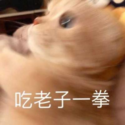 大亏哥是什么梗？-萌图百科