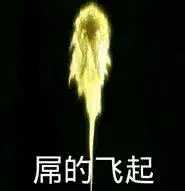 jojo表情包「知错不改」