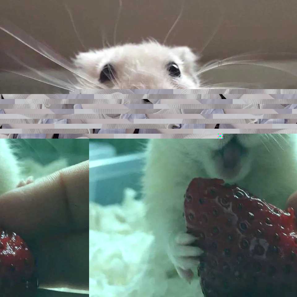39_SEI_3SKUWHY8D49D.png
