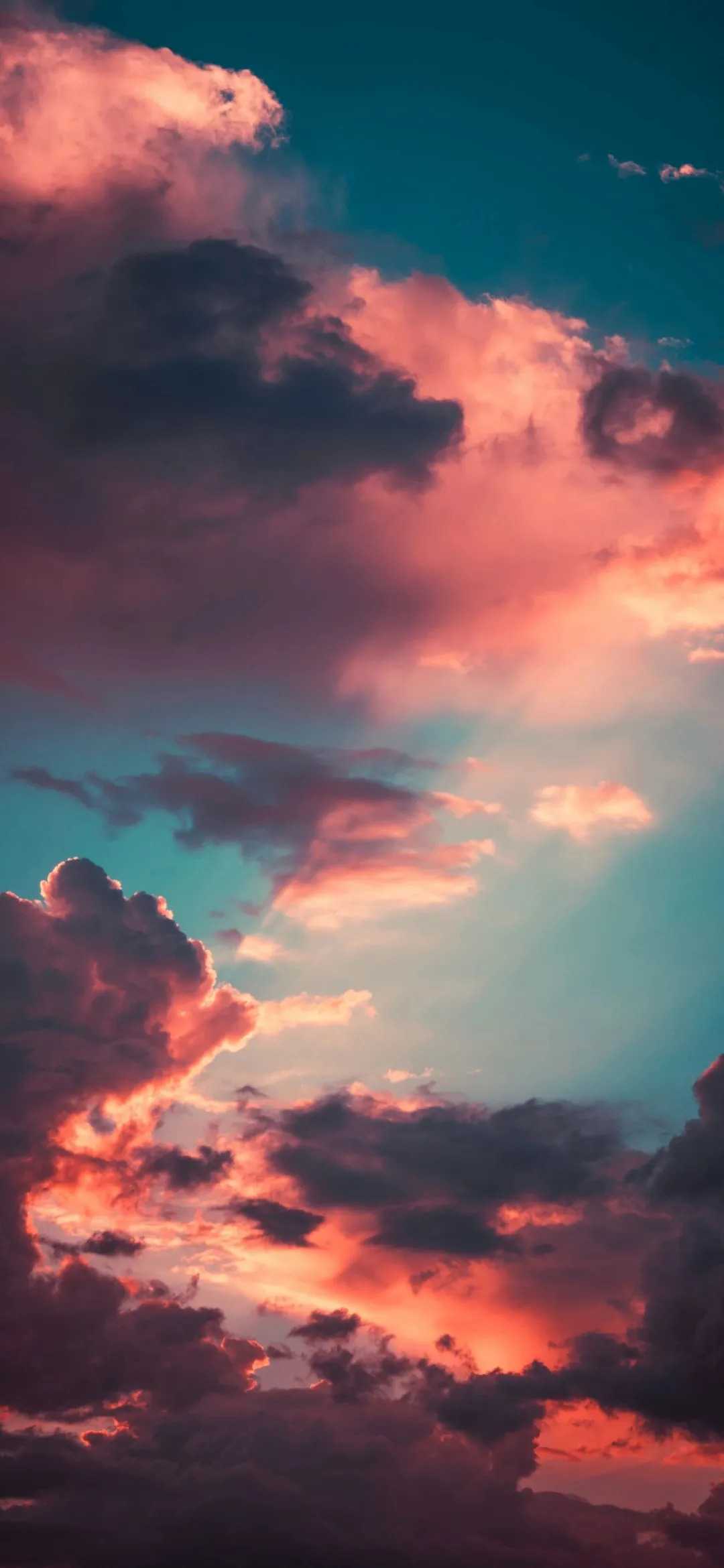 image-1600048917862-MDUpRDAzMU5TQkVfMkxCWjFaJDgyU0gucG5n.jpg