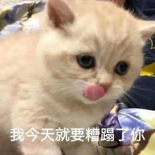 微信斗图表情包【我馋你身子好久了】