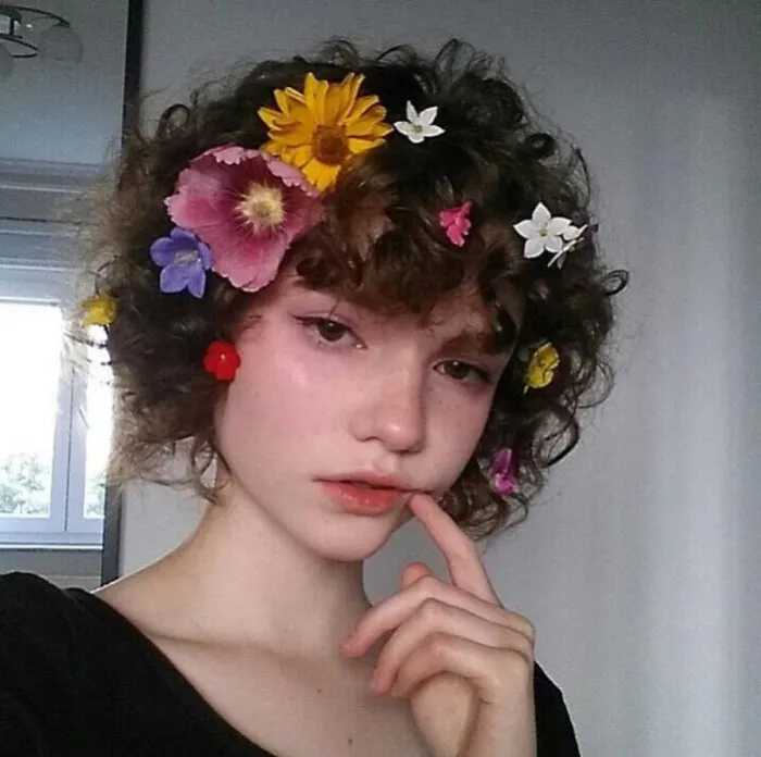 TBLDN2WDCLPSOGH.jpg
