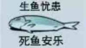 🐟-壁次元