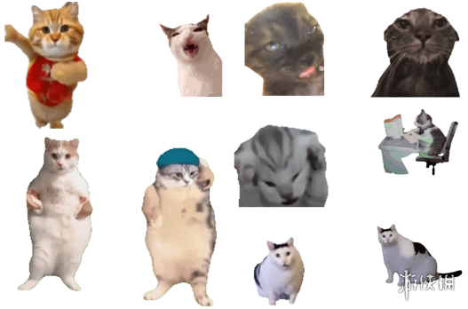 鼠鼠文学之后，年轻人用猫meme抱团取暖