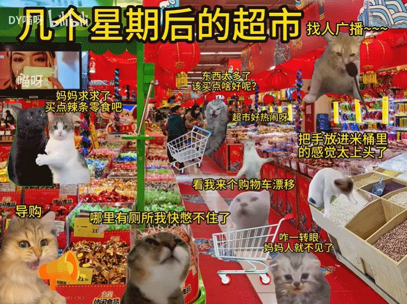鼠鼠文学之后，年轻人用猫meme抱团取暖