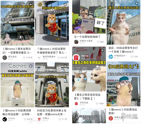 鼠鼠文学之后，年轻人用猫meme抱团取暖