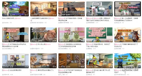 鼠鼠文学之后，年轻人用猫meme抱团取暖