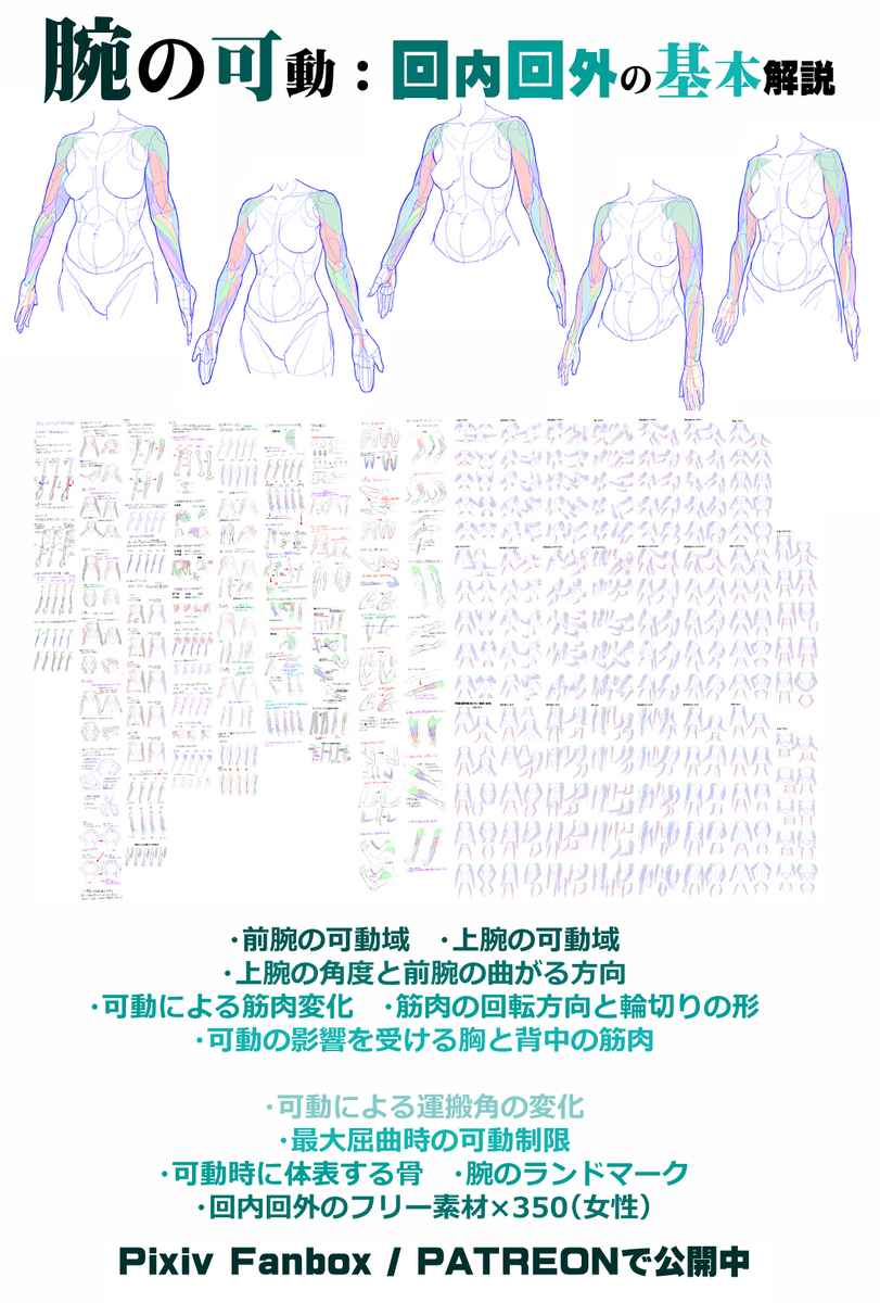 個人メモ：曲げた腕の折れ目