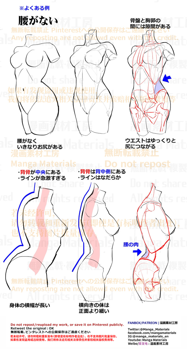 個人メモ：横から見た胴体のライン