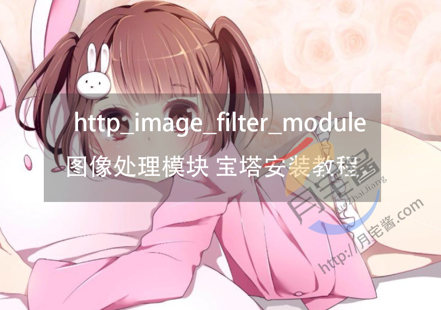 #干货教程 #在宝塔Nginx中安装http_image_filter_module 图像裁剪处理模块-月宅酱的博客