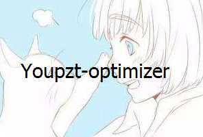 {干货}神级优化插件推荐Youpzt-optimizer-月宅酱的博客