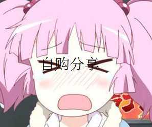 {干货}WordPress主题开发教程自购分享-月宅酱的博客