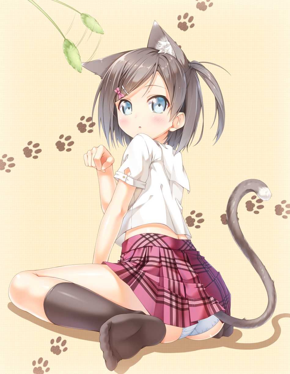 变态与不笑猫-月宅酱的博客