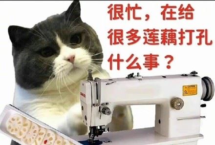 猫猫很忙表情包 ​-萌图百科