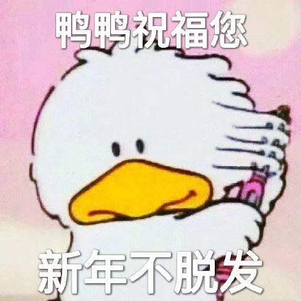 新年祝福您表情包-萌图百科