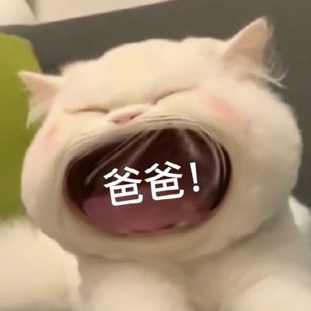 大嘴猫猫咪表情包-萌图百科