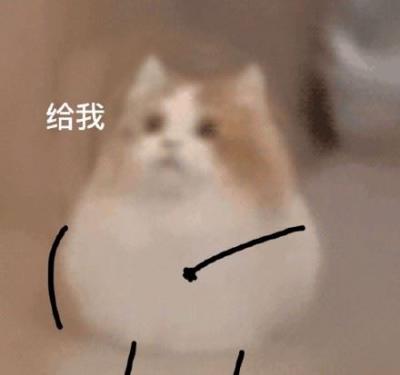 可爱猫猫表情包-萌图百科