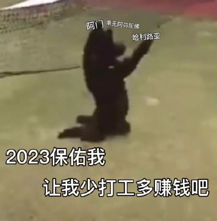 2023新年祝福表情包-萌图百科