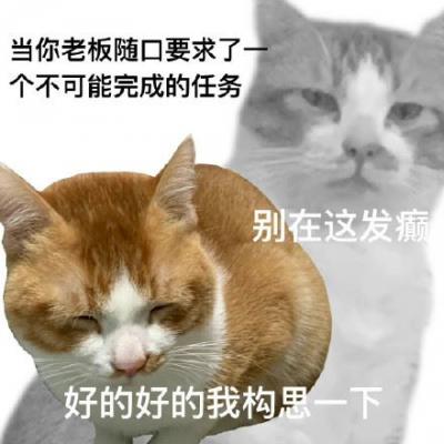 双面猫表情包 ​-萌图百科