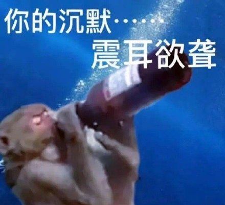 猴子表情包系列-萌图百科