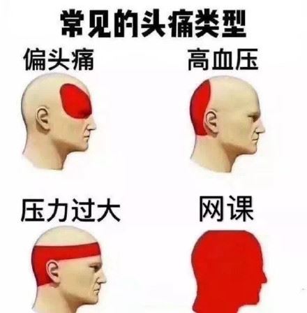 上网课表情包-壁次元