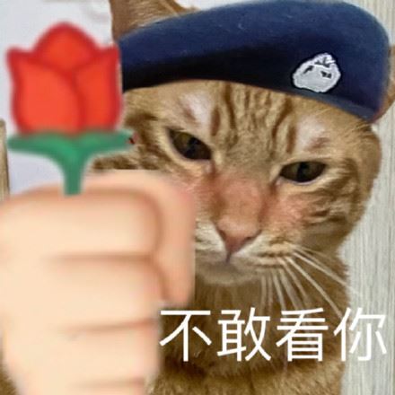 猫咪警长表情包-萌图百科