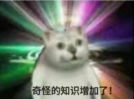 憨憨猫mur猫魔性猫咪表情包-萌图百科