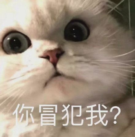 猫猫表情包 ​-壁次元