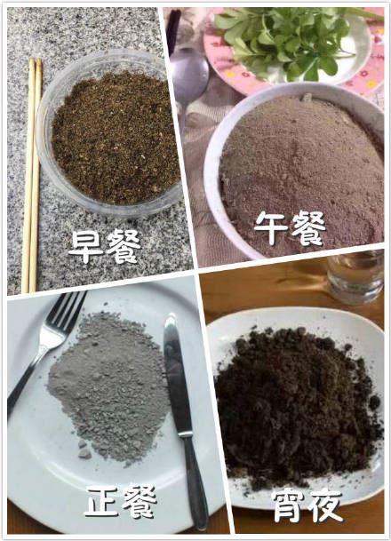 这个月的菜单——土！剁手一时爽，转眼就吃土-萌图百科