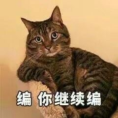 送你一波猫咪表情包-壁次元