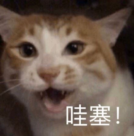 都是猫猫表情包-萌图百科