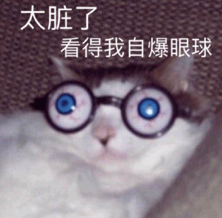 一组可爱猫咪狗子表情包-壁次元